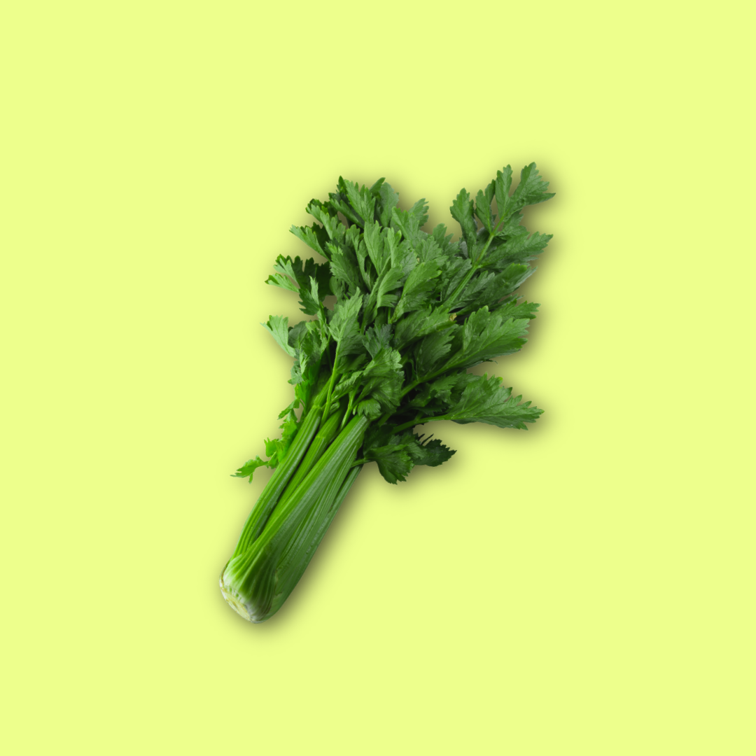 Celery