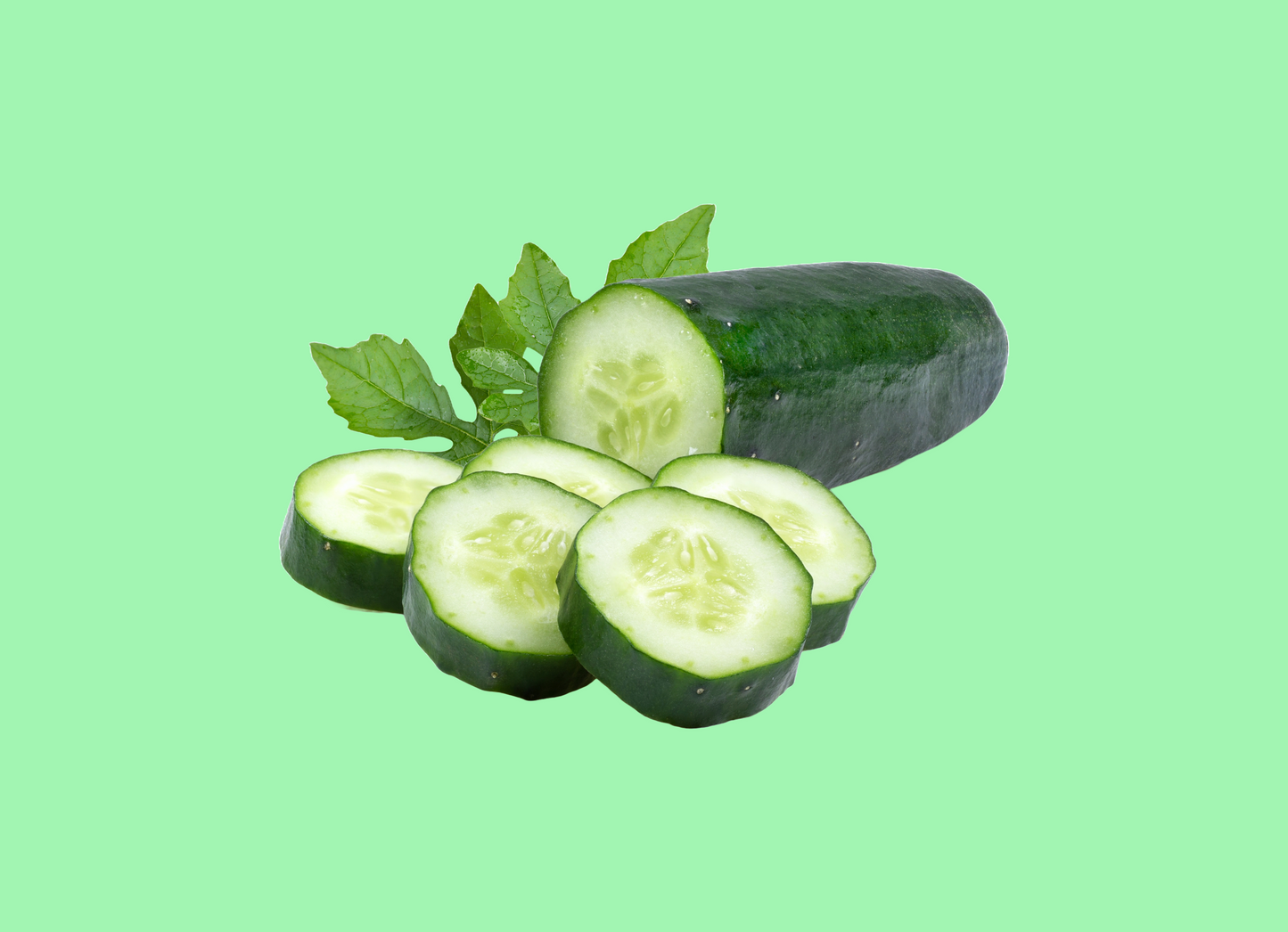 Cucumber