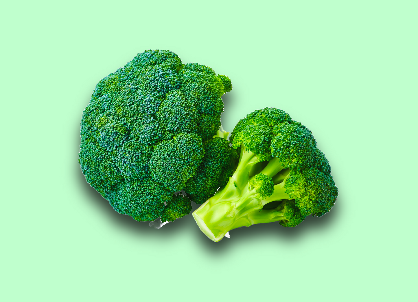 Broccoli